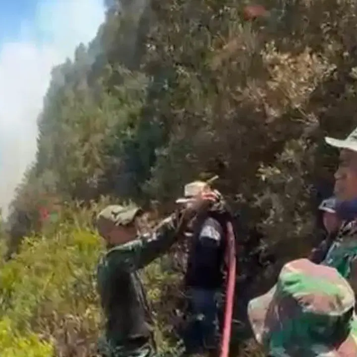 172 Pendaki Gunung Semeru Dievakuasi Akibat Kebakaran Hutan