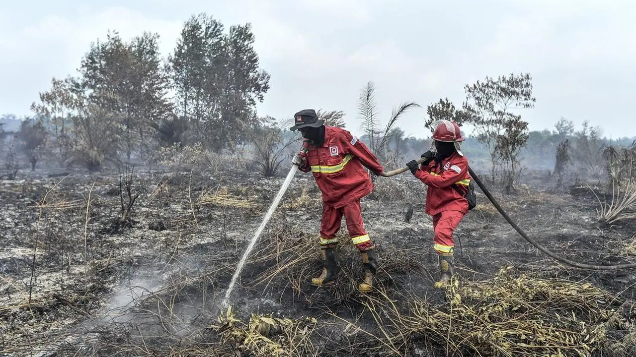 Indonesia Hadapi Karhutla: Hotspot di 6 Provinsi, BMKG Lakukan Modifikasi Cuaca