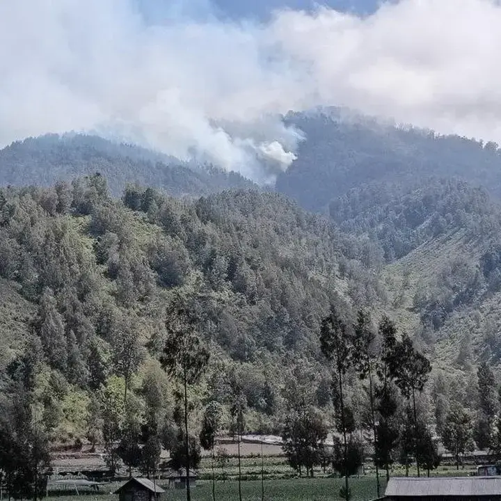 Jalur Pendakian Gunung Semeru Ditutup Total Akibat Kebakaran Hutan