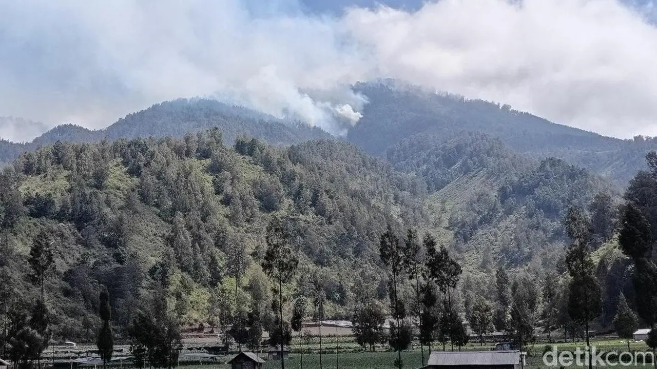 Jalur Pendakian Gunung Semeru Ditutup Total Akibat Kebakaran Hutan