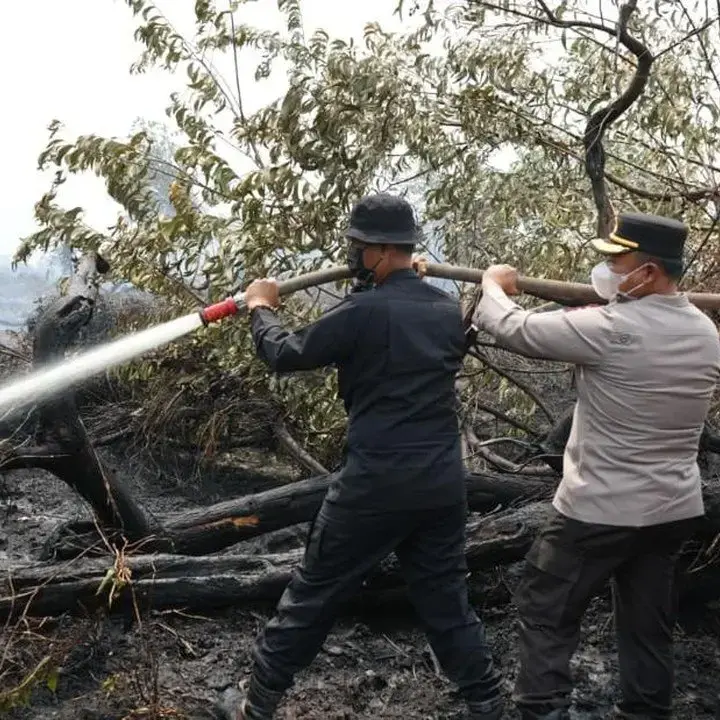 Karhutla Riau Menurun Drastis, Tersisa 79 Titik Panas Aktif