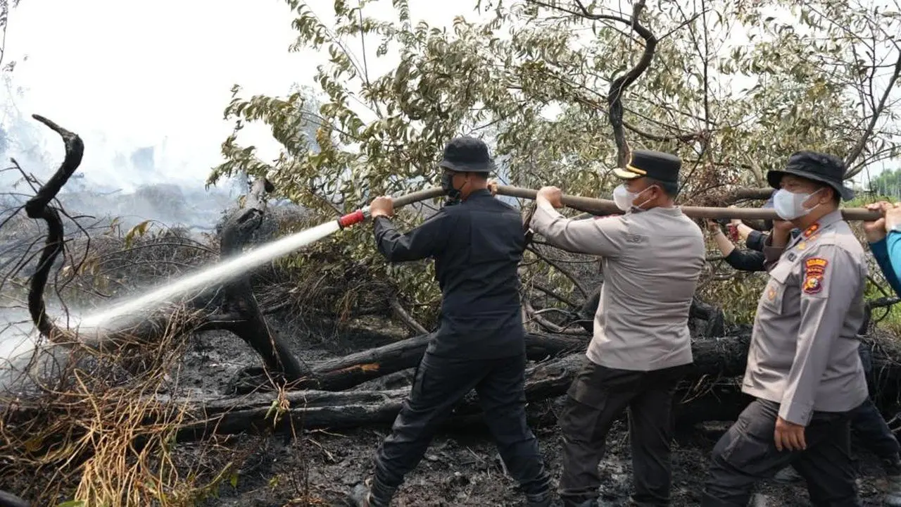 Karhutla Riau Menurun Drastis, Tersisa 79 Titik Panas Aktif