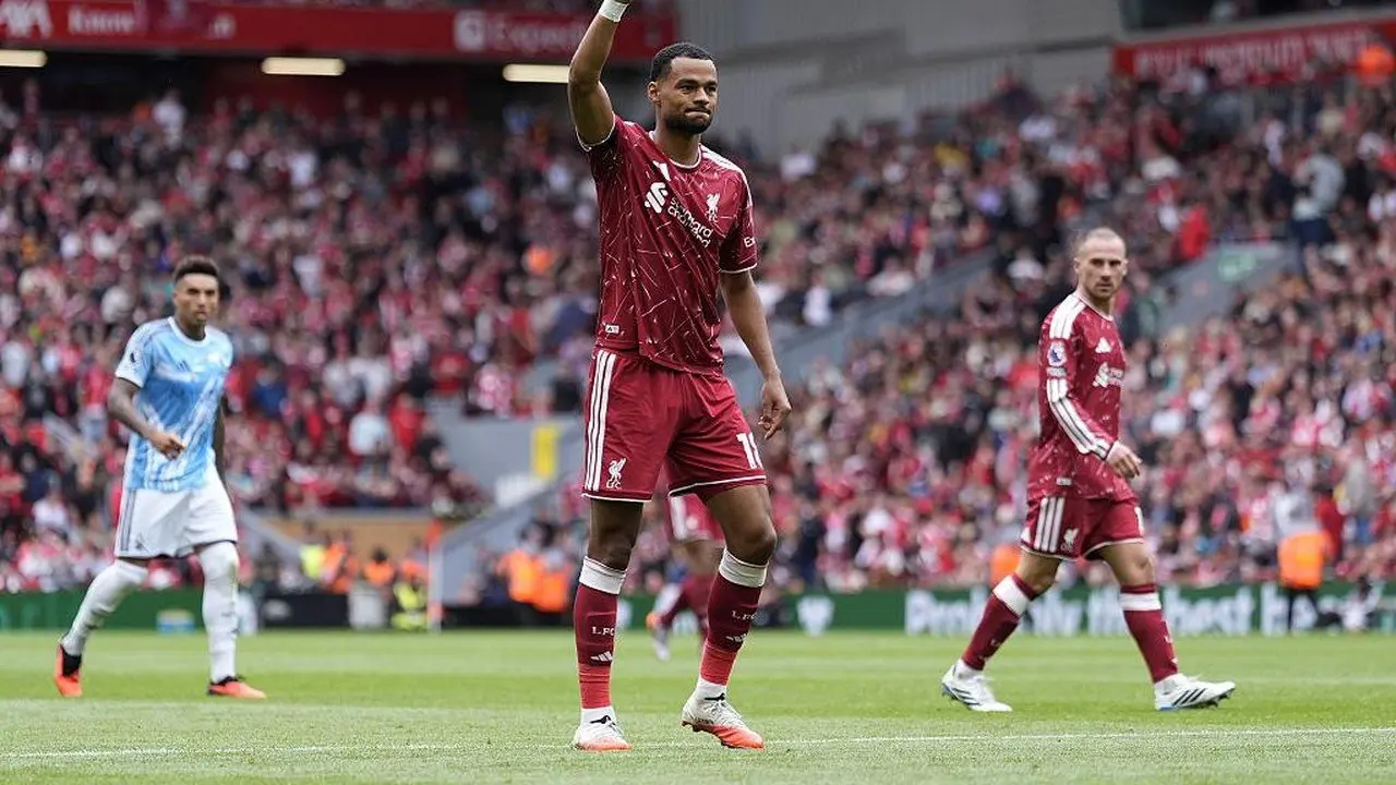 Manchester City Dikabarkan Dekati Cody Gakpo dari Liverpool