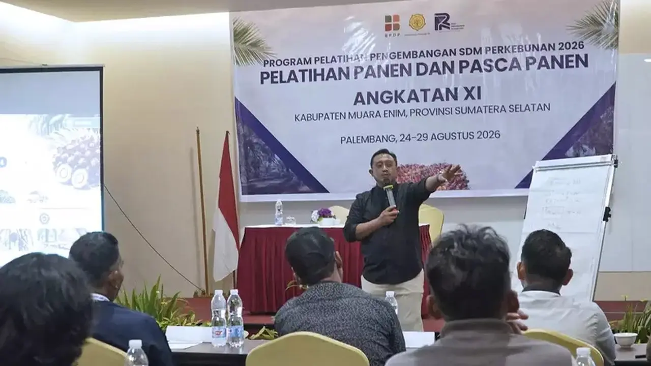 Pekebun Sawit Perlu Kuasai Teknik Panen untuk Tingkatkan Rendemen