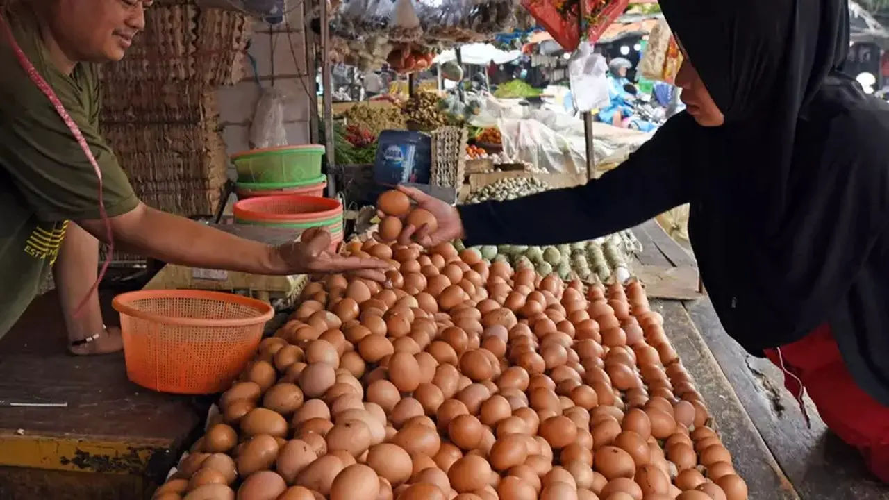 Pemerintah Berupaya Angkat Harga Telur Ayam ke Rp 30 Ribu/Kg