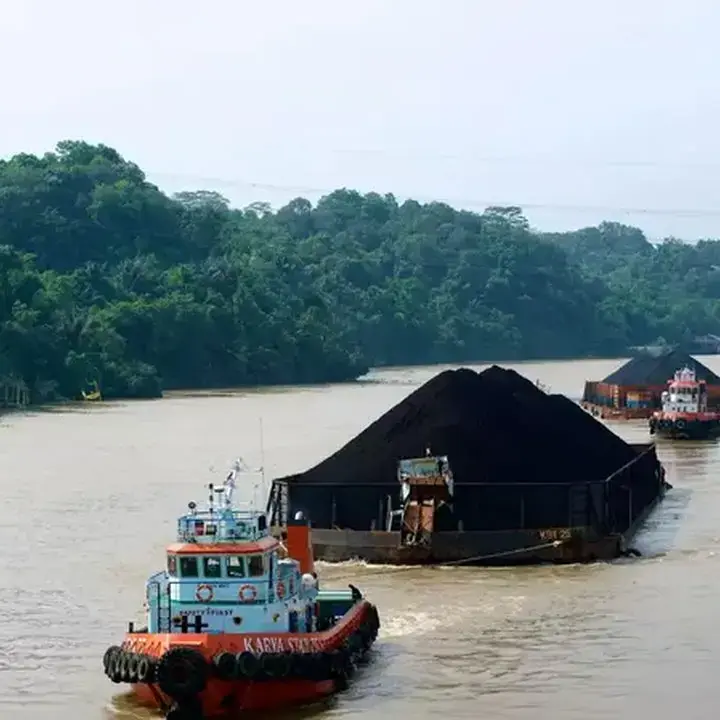 Rencana BLU Batu Bara Dikaji Ulang, Singgih Widagdo Ingatkan Risiko Tata Kelola