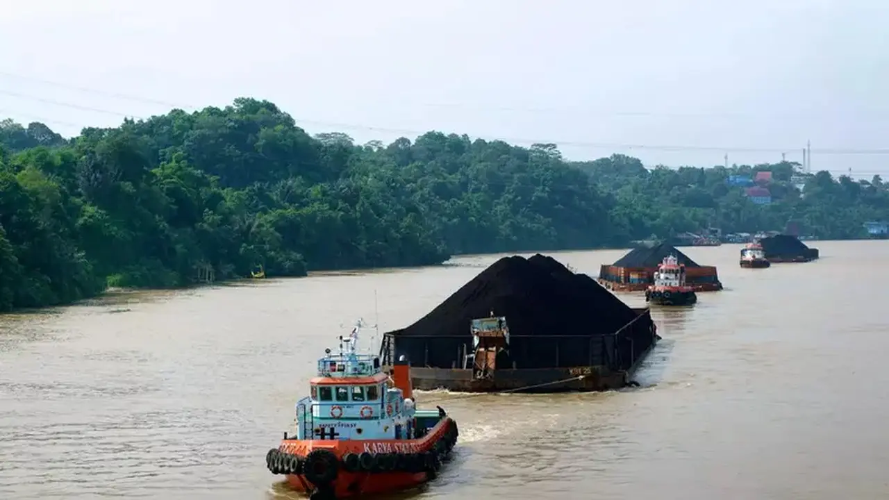 Rencana BLU Batu Bara Dikaji Ulang, Singgih Widagdo Ingatkan Risiko Tata Kelola