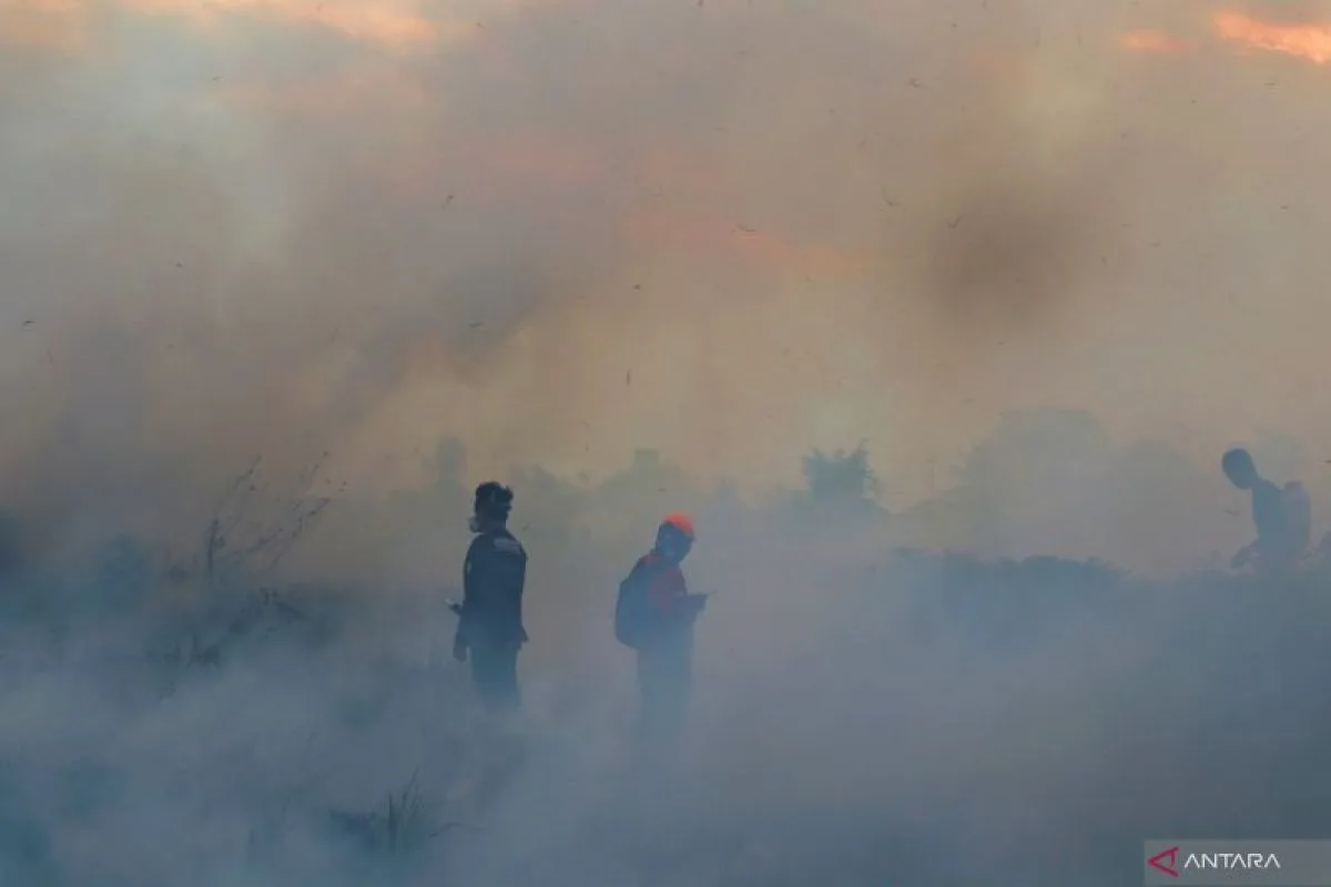 Tragedi Kabut Asap: Pesan Terakhir Guru Lisna Sebelum Meninggal di Tengah Kabut Asap yang Selimuti Banjarmasin